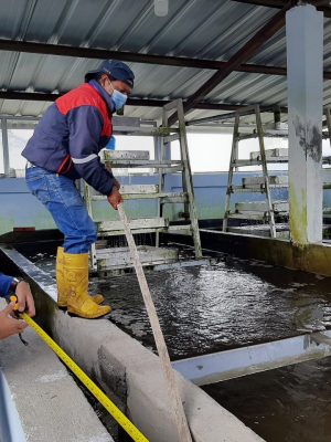 AGUA POTABLE PATATE